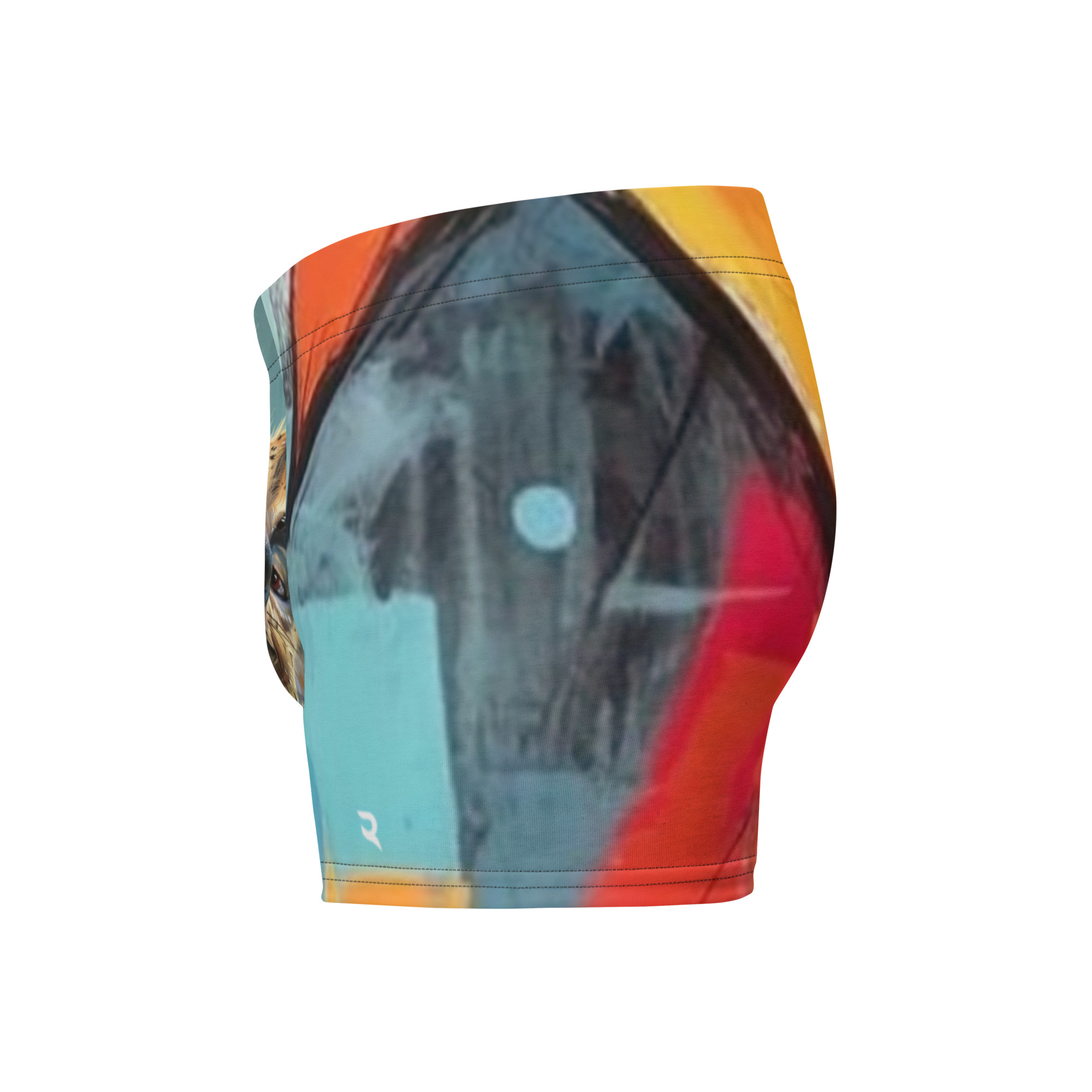 Cheeky Hyenas Boxer Briefs - Image 3